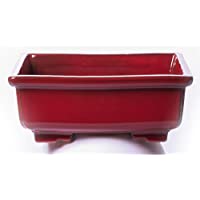 Alfareros Damian Canovas Maceta para Bonsai DE Barro Y ESMALTADA EN Color Rojo Medidas 28X22X10CM.Modelo Kobe. con TU…